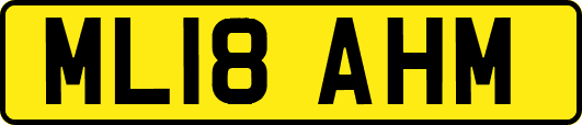 ML18AHM