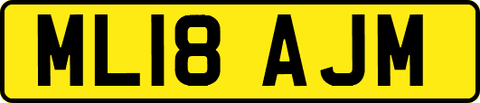 ML18AJM