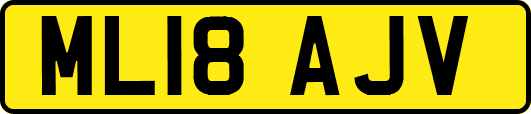 ML18AJV
