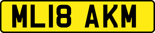 ML18AKM