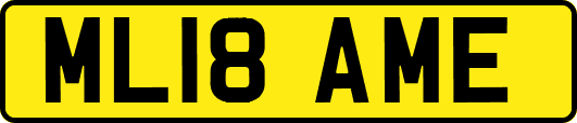 ML18AME