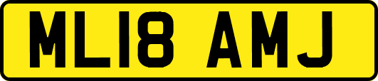 ML18AMJ