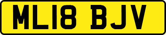 ML18BJV