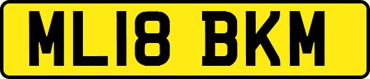 ML18BKM