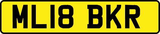ML18BKR