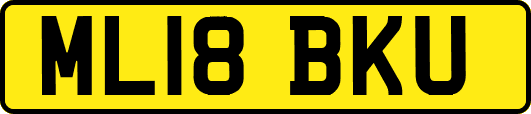 ML18BKU