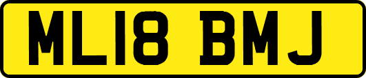 ML18BMJ