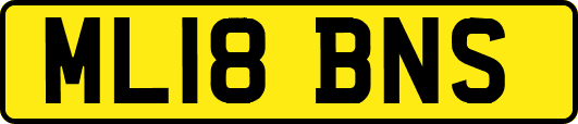 ML18BNS