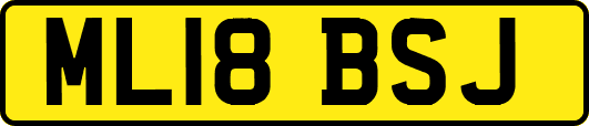 ML18BSJ