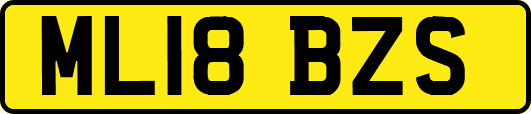 ML18BZS