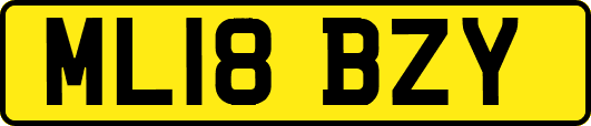 ML18BZY