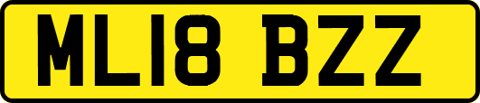 ML18BZZ
