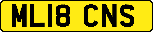ML18CNS