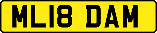 ML18DAM