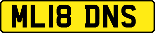 ML18DNS