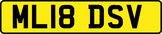 ML18DSV