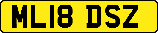 ML18DSZ