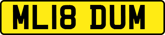 ML18DUM