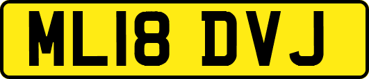 ML18DVJ