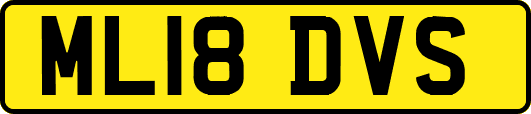 ML18DVS