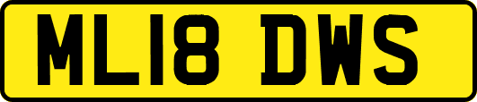 ML18DWS