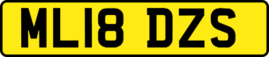ML18DZS