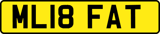 ML18FAT