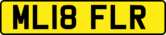 ML18FLR