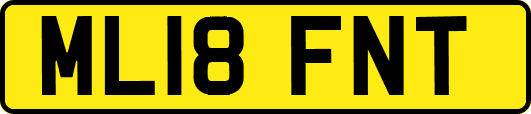 ML18FNT