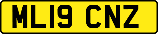 ML19CNZ