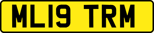 ML19TRM