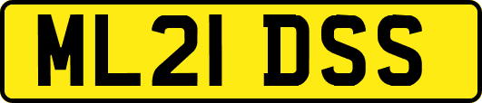 ML21DSS