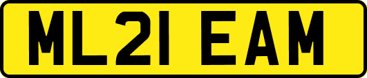 ML21EAM