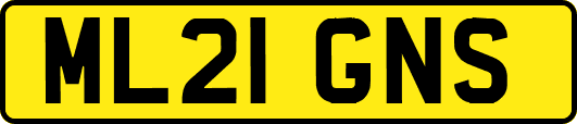 ML21GNS