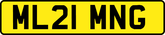 ML21MNG