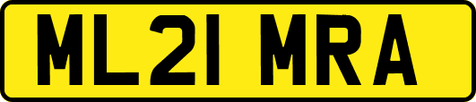 ML21MRA