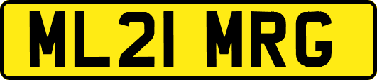 ML21MRG
