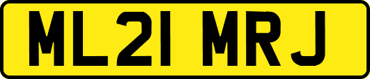 ML21MRJ