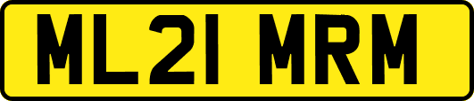 ML21MRM
