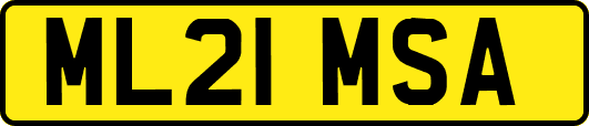 ML21MSA