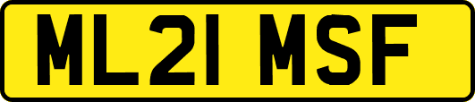 ML21MSF