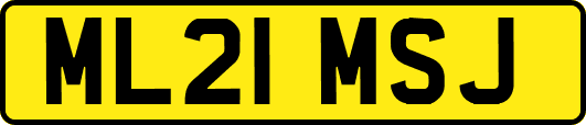 ML21MSJ