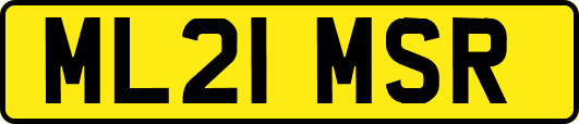 ML21MSR