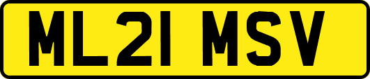ML21MSV