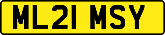 ML21MSY