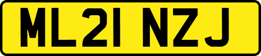 ML21NZJ