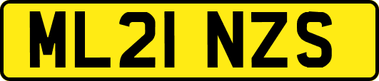 ML21NZS