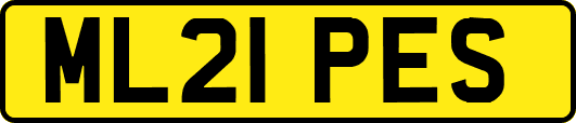 ML21PES