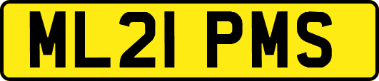 ML21PMS