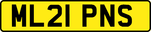 ML21PNS
